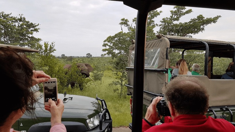 Nationalpark Kruger, Safari, Jeep, Südafrika, Fahrzeug, Fotografieren